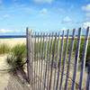 beach-house-reed-diffuser-oil.jpg